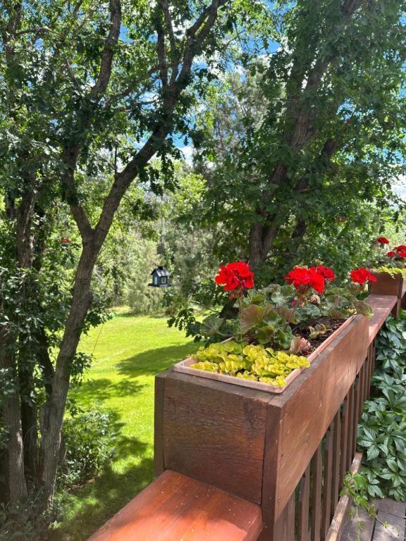 Country Sunshine Bed And Breakfast Hermosa Екстериор снимка