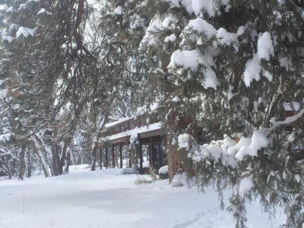 Country Sunshine Bed And Breakfast Hermosa Екстериор снимка